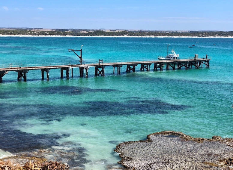 Picture 8 for Activity Penneshaw: Shore Excursion Kangaroo Island Scenic Tour