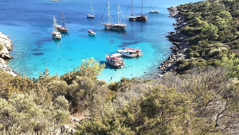 Picture 3 for Activity Bodrum: Boat Tour for Mein Schiff Cruise Passengers