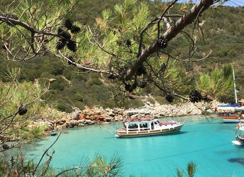 Picture 9 for Activity Bodrum: Boat Tour for Mein Schiff Cruise Passengers