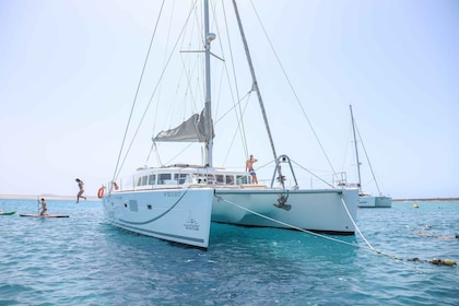 Fuerteventura: catamarán privado de lujo a la isla de Lobo