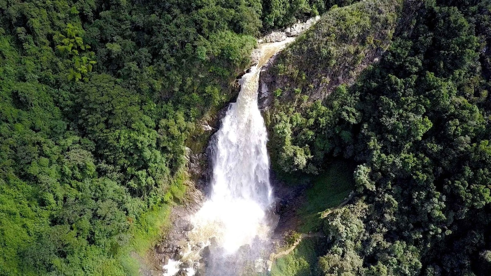 Picture 4 for Activity From Medellín: Dream Hammocks, Zipline, & Waterfall Day Trip