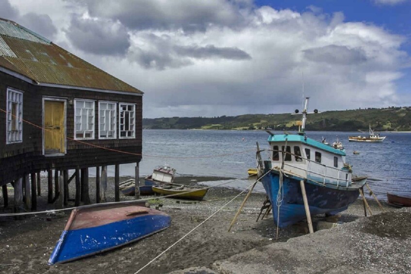 Picture 2 for Activity From Puerto Varas or Puerto Montt: Chiloé Island Tour
