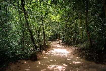 Cu Chi tunnels en Mekong Delta 1 dag tour met kleine groep