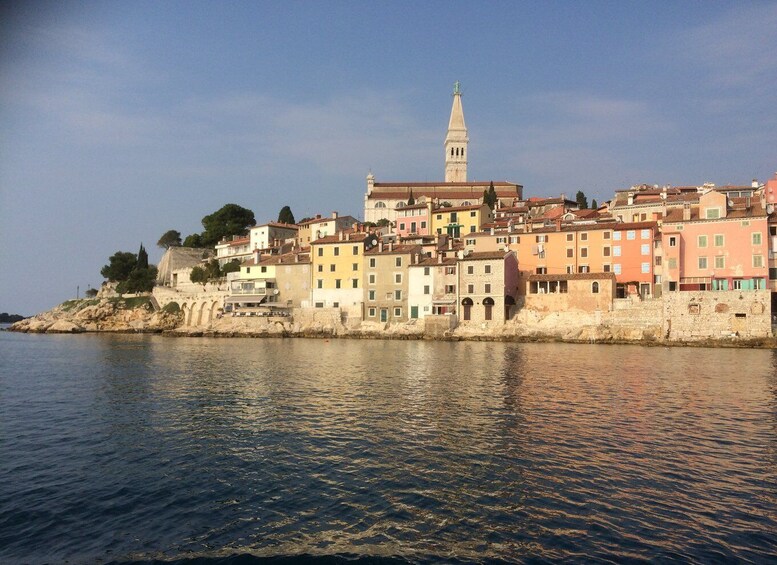 Picture 2 for Activity Istria: Guided Tour of Southern Istria and Olive Oil Tasting