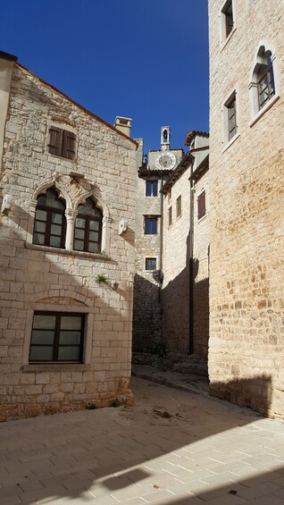 Picture 5 for Activity Istria: Guided Tour of Southern Istria and Olive Oil Tasting