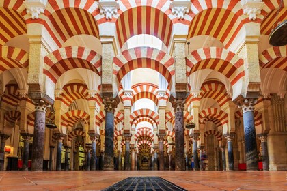 Dari la Costa del Sol: Satu Hari di Córdoba + Mezquita