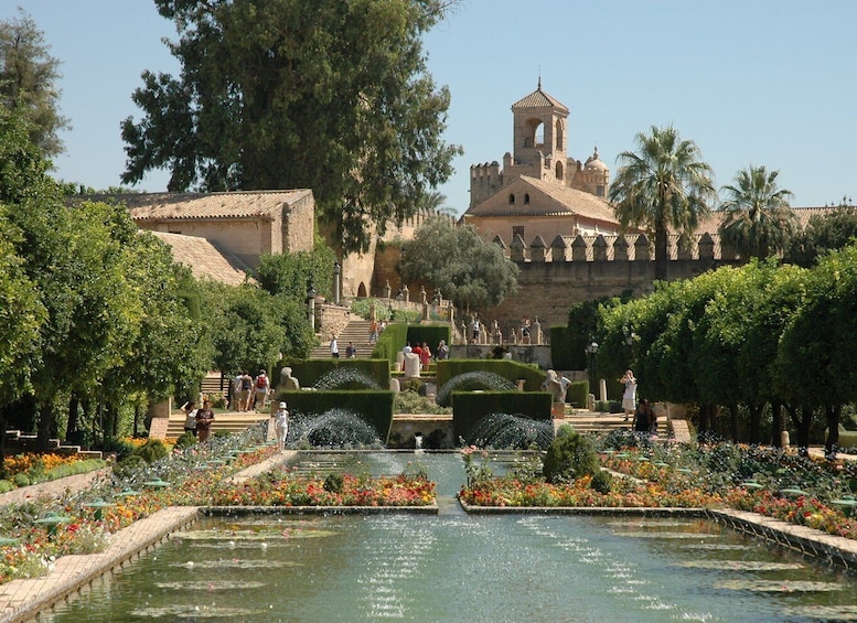 Picture 1 for Activity From la Costa del Sol: One Day in Córdoba + Mezquita