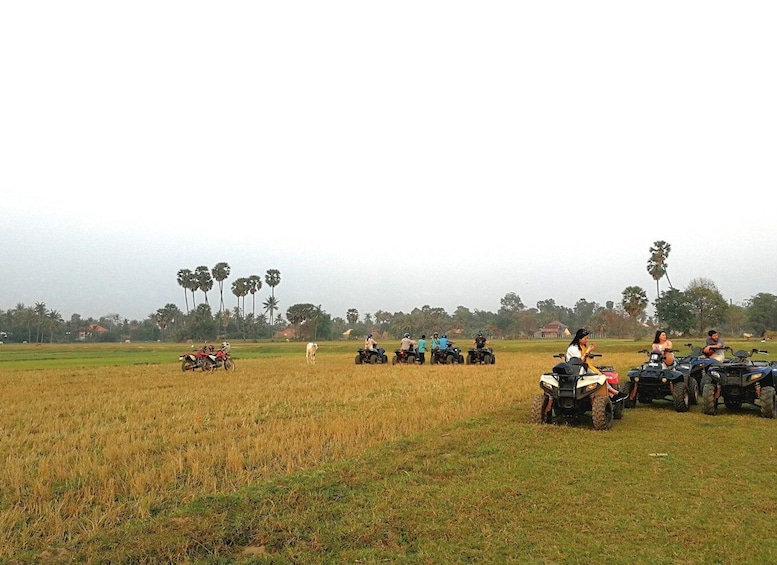 Picture 4 for Activity Siem Reap Quad Bike Countryside Tour