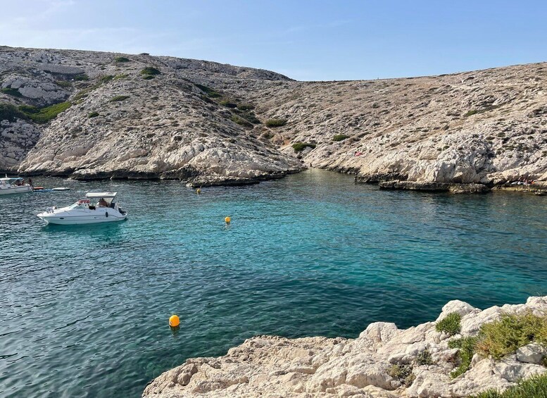 Picture 21 for Activity Marseille: Boat Tour with Stop on the Frioul Islands