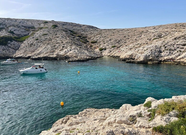 Picture 21 for Activity Marseille: Boat Tour with Stop on the Frioul Islands