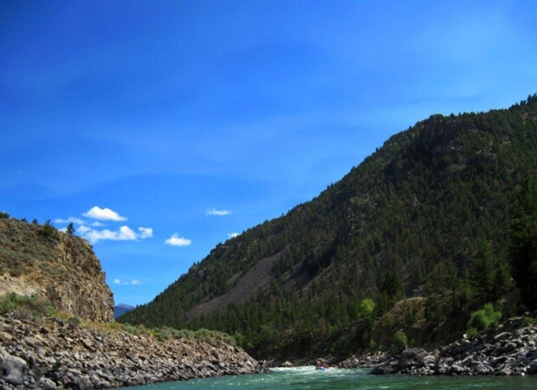 Picture 3 for Activity Gardiner: Yellowstone River Half-Day Whitewater Rafting