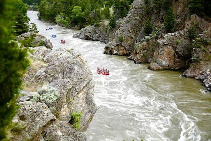 Gardiner: Yellowstone River Whitewater Rafting Experience