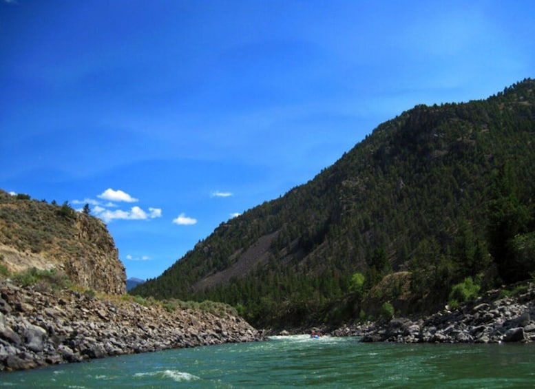 Picture 3 for Activity Gardiner: Yellowstone River Half-Day Whitewater Rafting