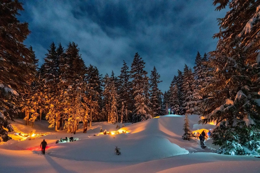 Bend: Cascade Mountains Snowshoeing Tour and Bonfire