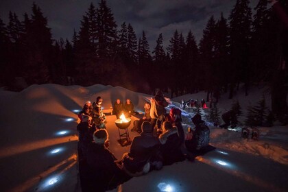 Bend: Cascade Mountains Snowshoeing Tour and Bonfire