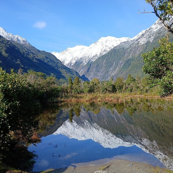 Picture 11 for Activity Franz Josef: Franz Josef Glacier Lookout Guided Walk