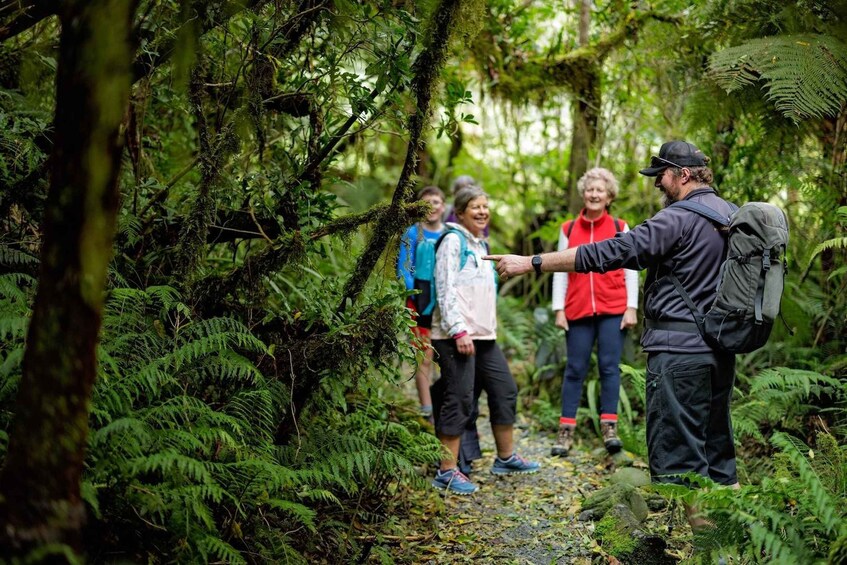 Picture 16 for Activity Franz Josef: Franz Josef Glacier Lookout Guided Walk