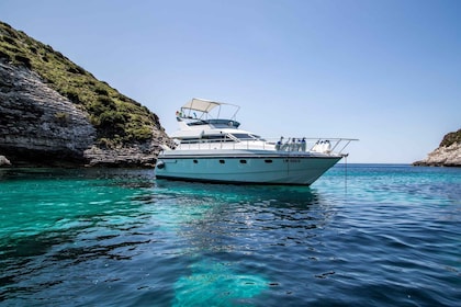 Depuis La Maddalena ou Palau : Excursion en bateau dans l'archipel de la Ma...