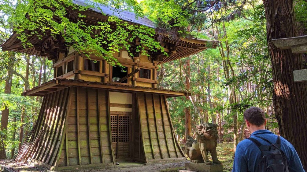 Picture 4 for Activity Nara: Heart of Nature Temple, Forest, & Waterfall Bike Tour