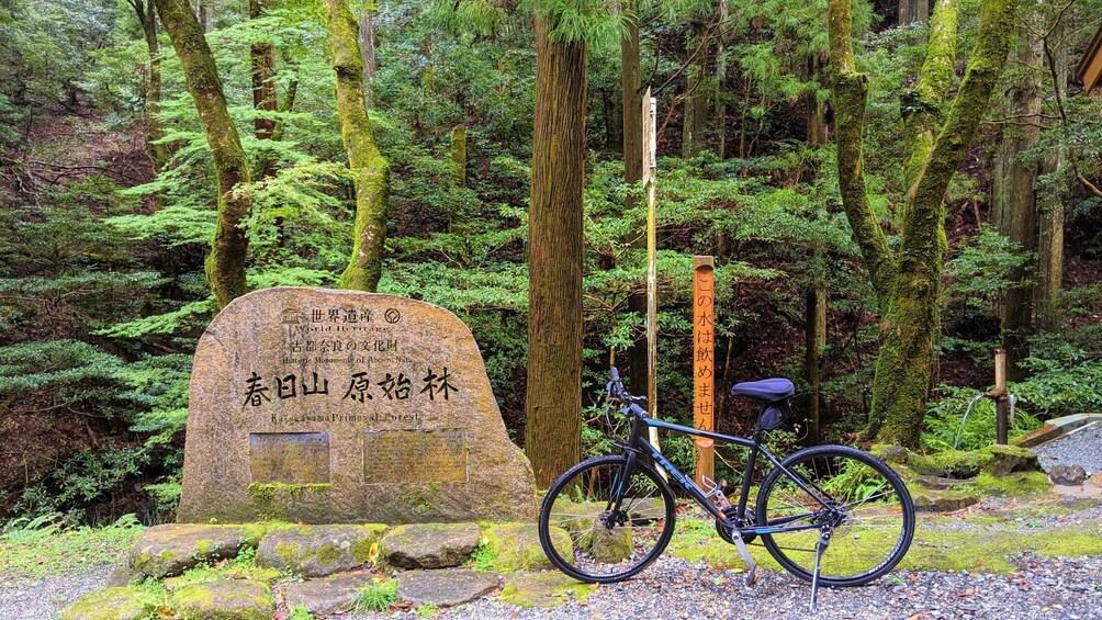 Picture 9 for Activity Nara: Heart of Nature Temple, Forest, & Waterfall Bike Tour