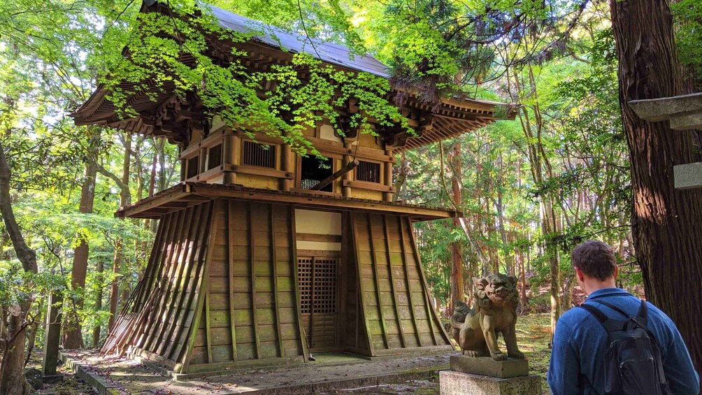 Picture 4 for Activity Nara: Heart of Nature Temple, Forest, & Waterfall Bike Tour