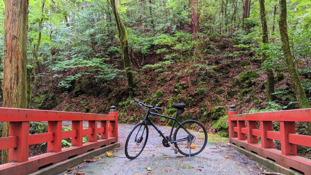 Picture 8 for Activity Nara: Heart of Nature Temple, Forest, & Waterfall Bike Tour