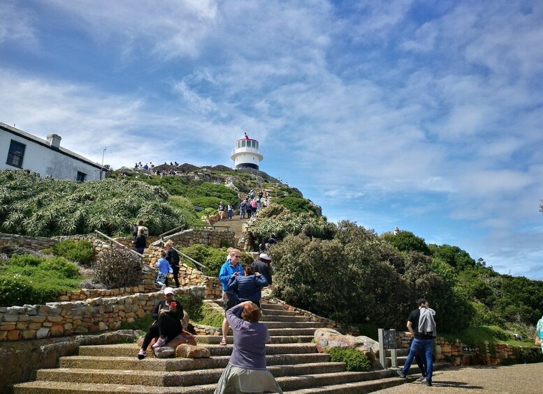 Picture 1 for Activity From Cape Town/Stellenbosch: Cape Peninsula Private Day Trip