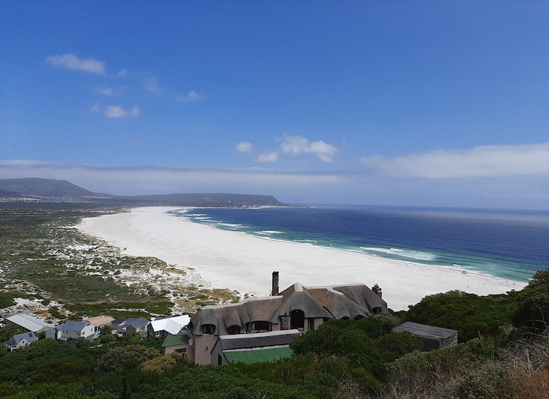 Picture 4 for Activity From Cape Town/Stellenbosch: Cape Peninsula Private Day Trip