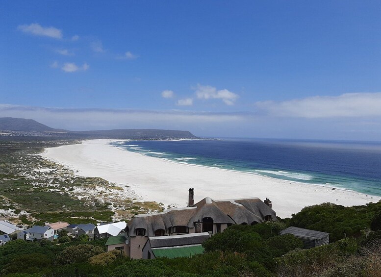 Picture 4 for Activity From Cape Town/Stellenbosch: Cape Peninsula Private Day Trip