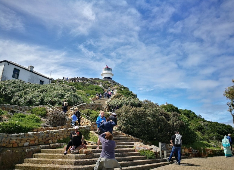 Picture 1 for Activity From Cape Town/Stellenbosch: Cape Peninsula Private Day Trip