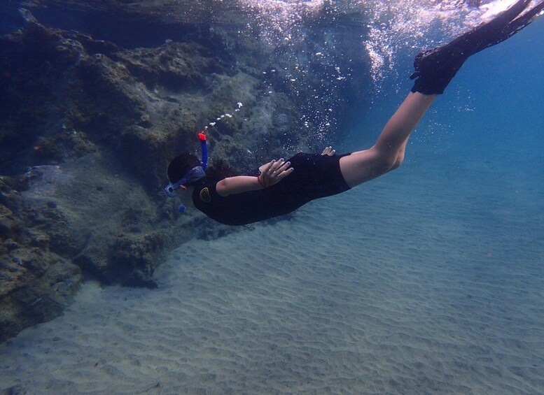 Picture 2 for Activity Puerto del Carmen: Snorkeling Trip with Dive Instructor