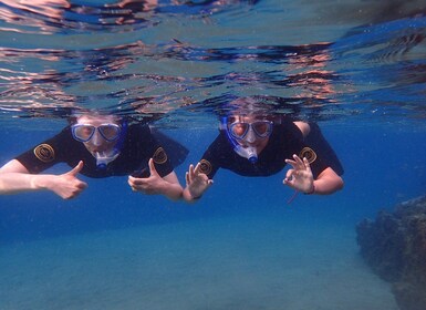 Puerto del Carmen : Excursion de plongée avec masque et tuba avec moniteur ...