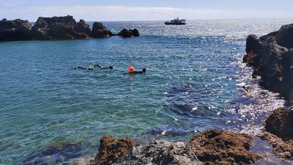 Picture 7 for Activity Puerto del Carmen: Snorkeling Trip with Dive Instructor