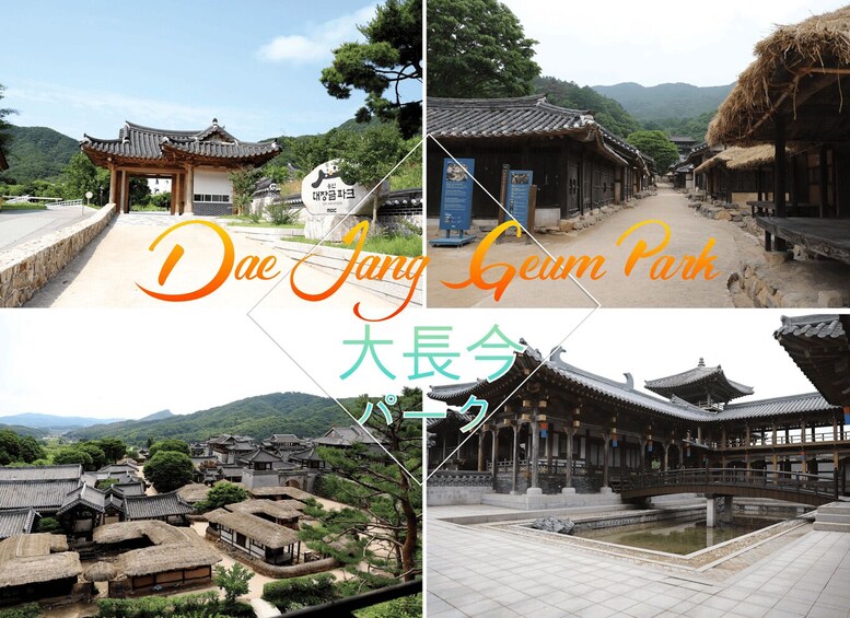 Picture 15 for Activity From Seoul: Classic K-Drama Dae Jang Geum Park Tour