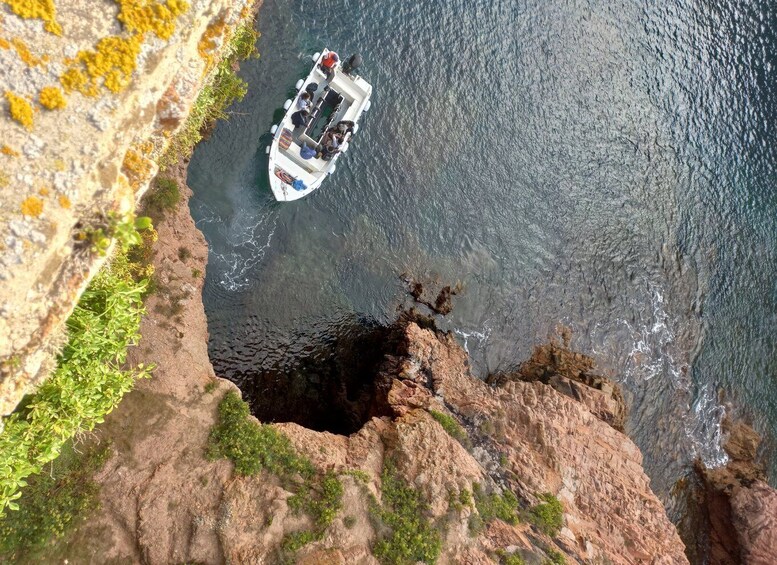 Picture 3 for Activity Peniche: Berlengas Roundtrip and Glass-Bottom Boat Cave Tour