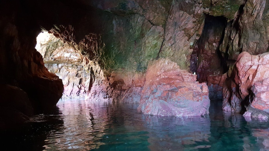 Peniche: Berlengas Roundtrip and Glass-Bottom Boat Cave Tour