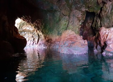 Peniche: Berlengas rundtur og grottetur med glassbunnsbåt