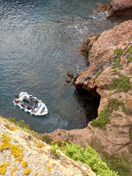 Picture 4 for Activity Peniche: Berlengas Roundtrip and Glass-Bottom Boat Cave Tour