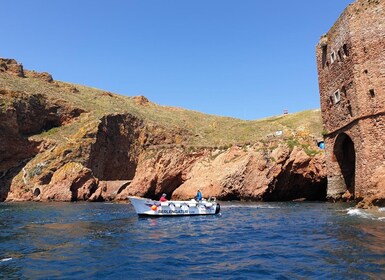 Peniche: Berlengas Roundtrip and Glass-Bottom Boat Cave Tour