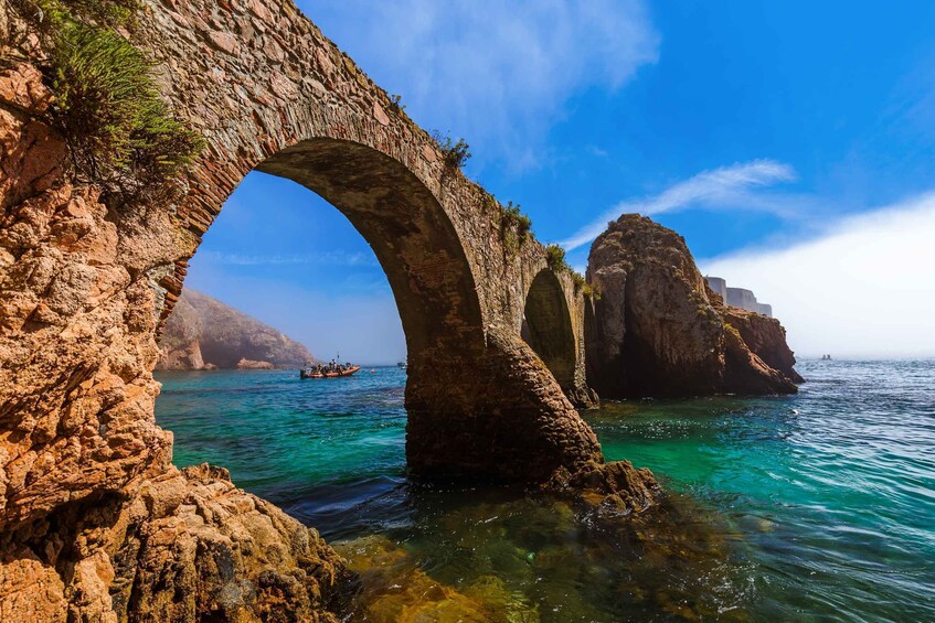 Picture 8 for Activity Peniche: Berlengas Roundtrip and Glass-Bottom Boat Cave Tour