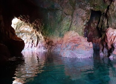 Peniche: Berlengas-Rundfahrt und Höhlentour mit dem Glasbodenboot