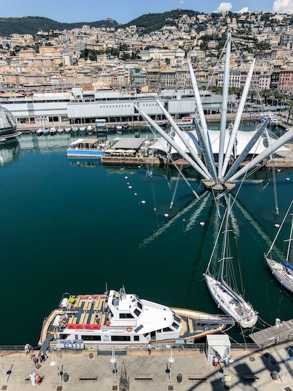 Picture 6 for Activity Genova : Boat Tour to Camogli, San Fruttuoso, & Portofino