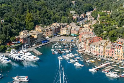 Genua: Boottocht naar Camogli, San Fruttuoso en Portofino