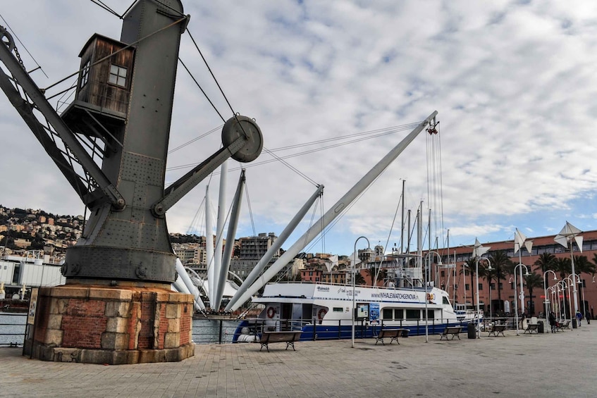 Picture 4 for Activity Genova : Boat Tour to Camogli, San Fruttuoso, & Portofino