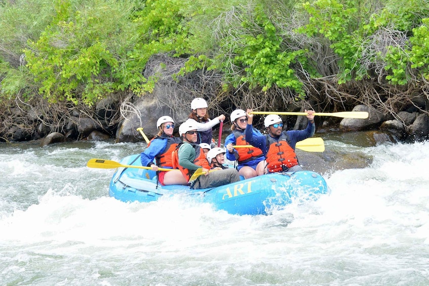 Picture 6 for Activity Cañon City: Half-Day Bighorn Sheep Canyon Rafting Tour