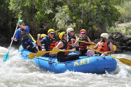 Cañon City: Half-Day Bighorn Sheep Canyon Rafting Tour