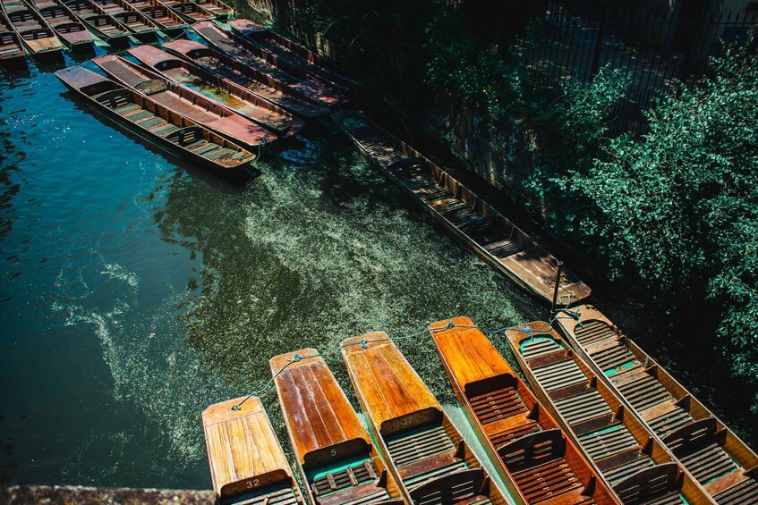 Picture 4 for Activity Oxford: Punting Tour on the River Cherwell