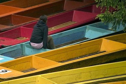 Oxford: Punting Tour on the River Cherwell