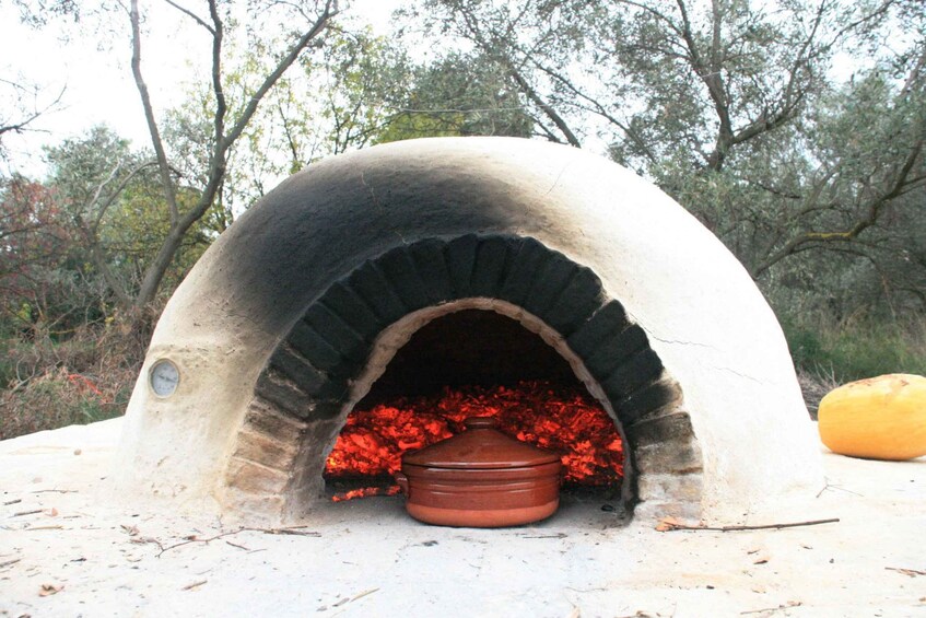 Picture 5 for Activity Corfu: Greek Cooking Class & Meal at a Local Family Home