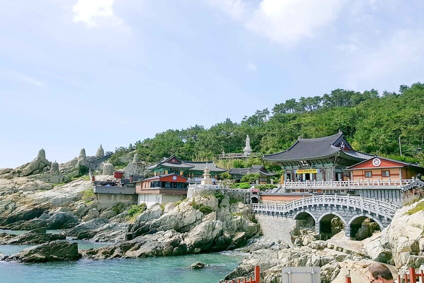 Picture 5 for Activity Haedong Yonggungsa Temple, Camellias Island & More